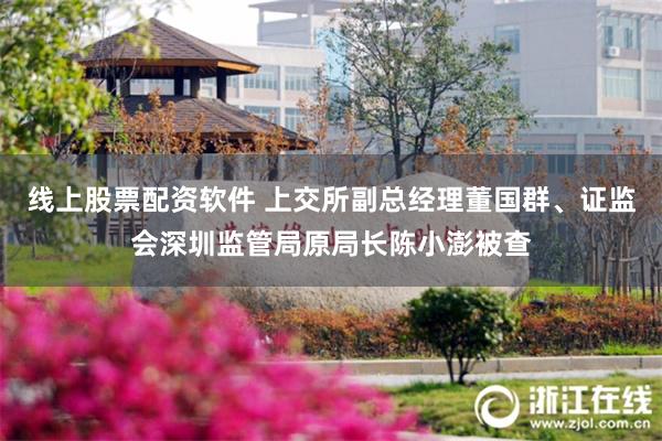 线上股票配资软件 上交所副总经理董国群、证监会深圳监管局原局长陈小澎被查