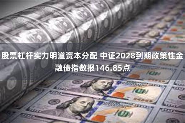 股票杠杆实力明道资本分配 中证2028到期政策性金融债指数报146.85点