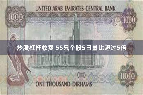 炒股杠杆收费 55只个股5日量比超过5倍